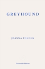 Greyhound